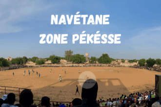 navetane pekesse