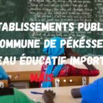 Les Établissements Publics de la Commune de Pékésse