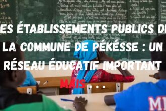 Les Établissements Publics de la Commune de Pékésse